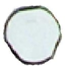 Urmet - Vis Antivandale M5X25