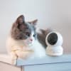Vignette Photo produit ambiance 2