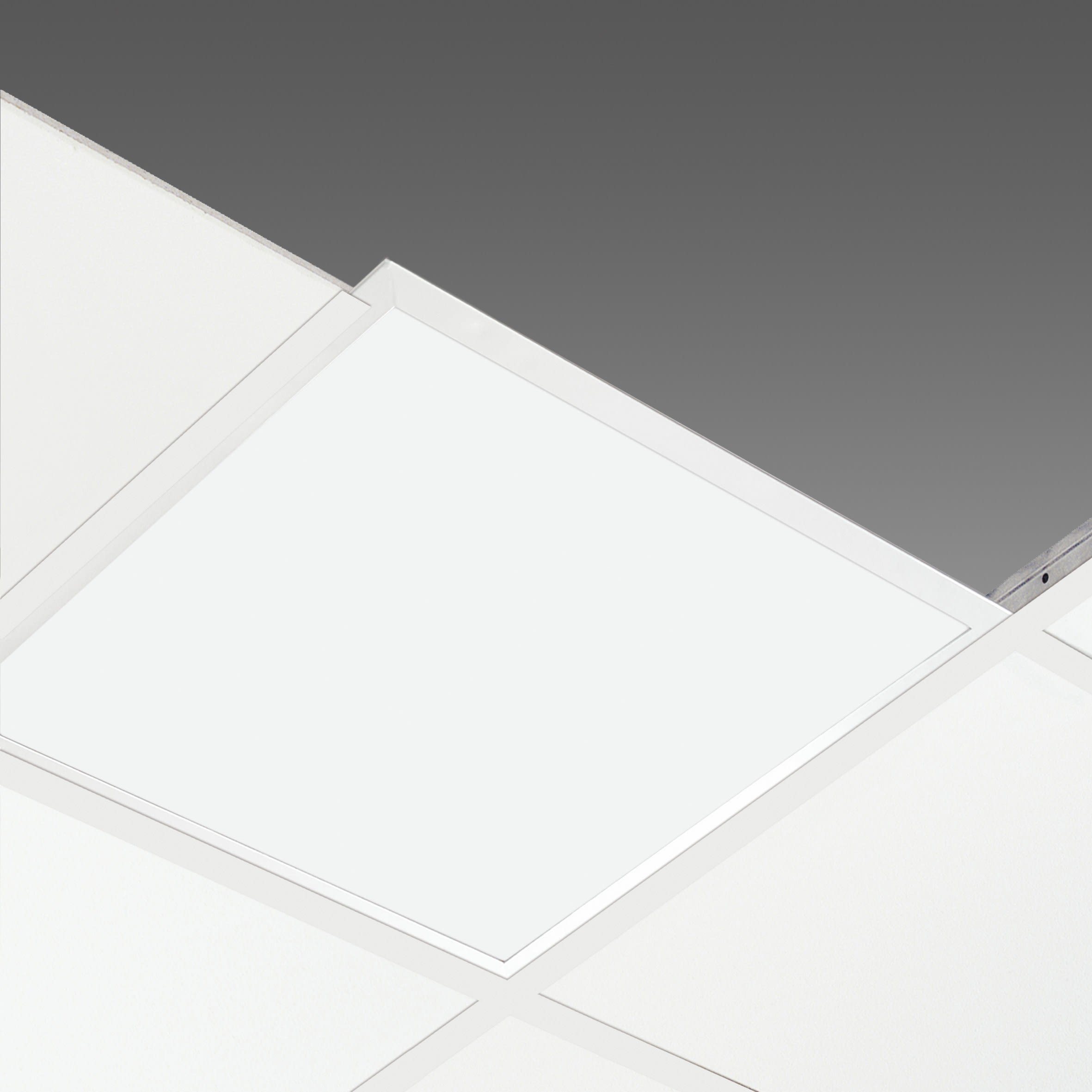 Disano - COMFORT PANEL 845 Led 24W Dali 3160lm 3000K blanc IP65 CRI80