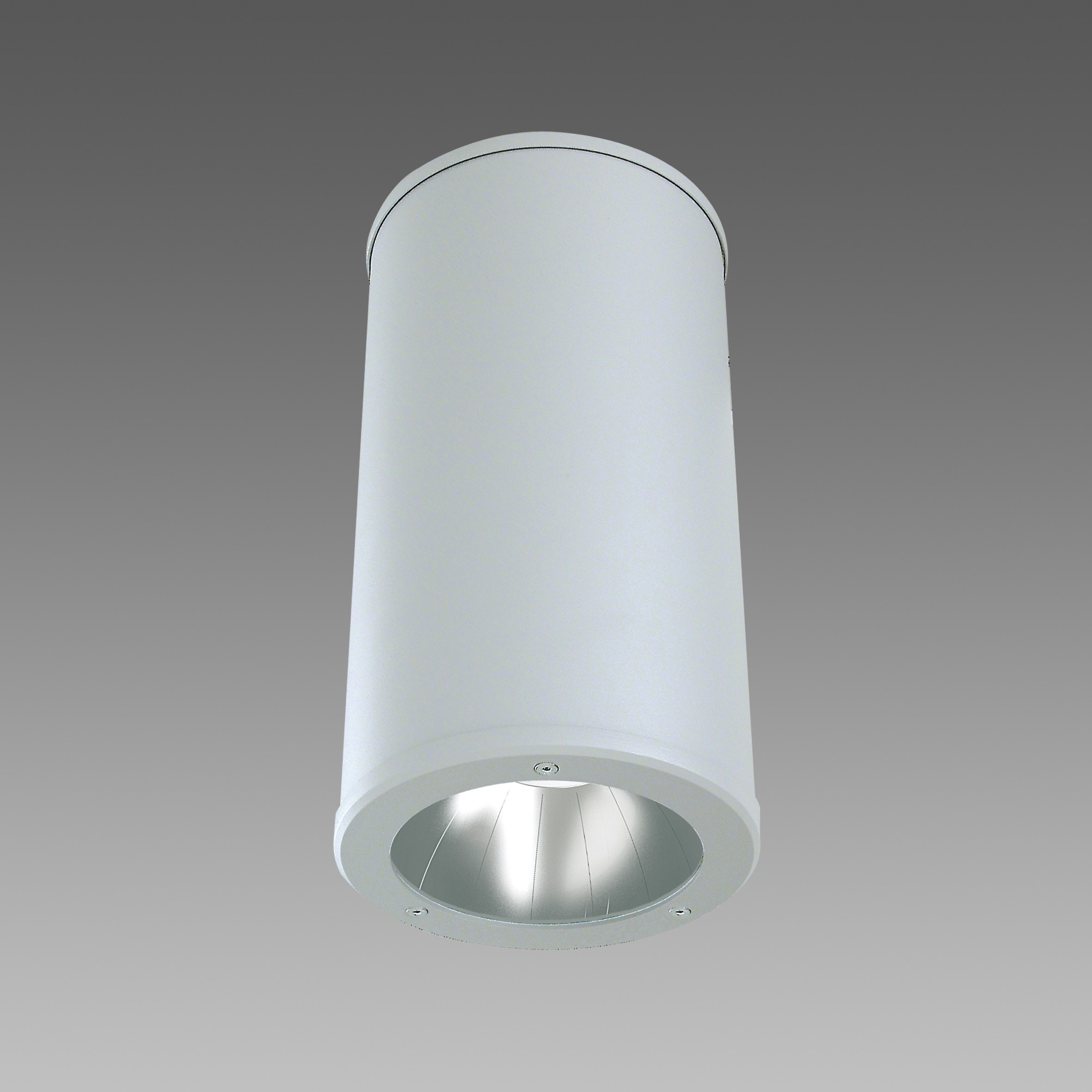 Disano - CILINDRO 1392 Led 14W 4000K argent sablé