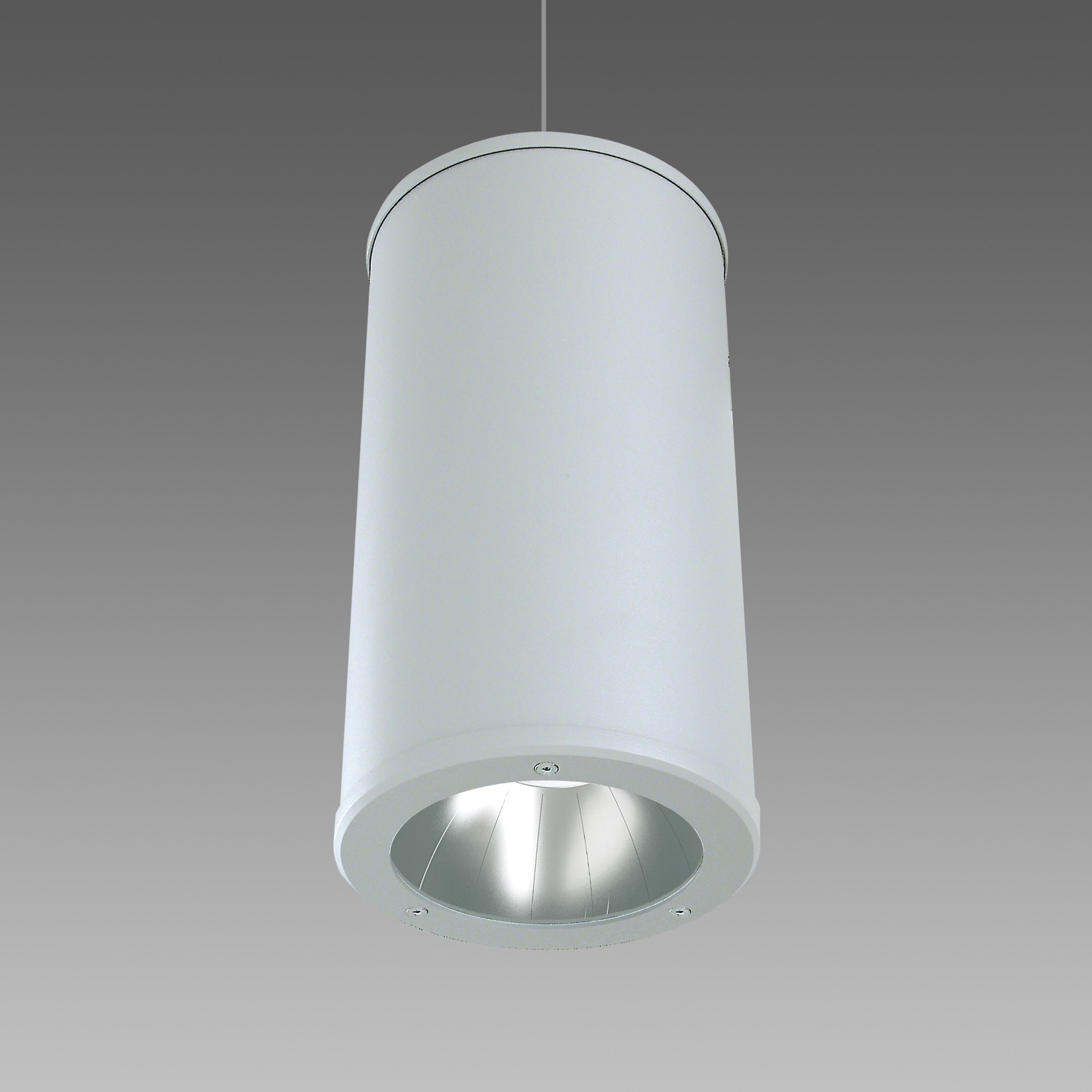 Disano - CILINDRO 1395 Led 14W 4000K argent sablé
