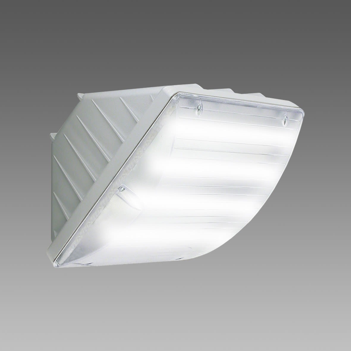 Disano - VEGA 1264 Led Emergency 20W 1657lm 4000K gris CRI70 IP65IK08