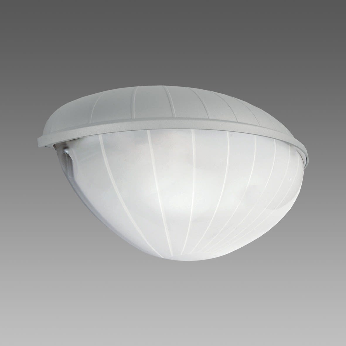 Disano - ORIONE 1265 Led 20W argent sablé IP65IK08