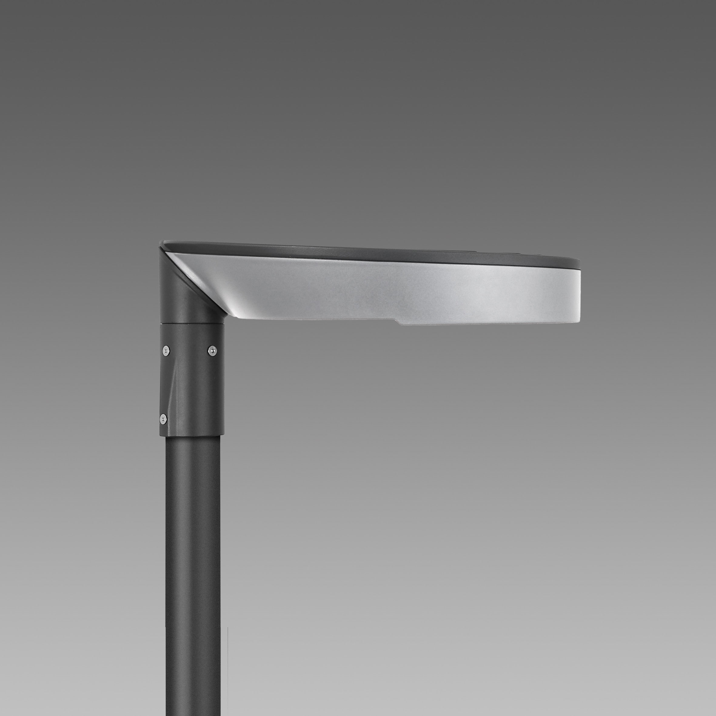Disano - TORPEDO 1241 Led 25W pose top à 90D RAL7021 4000K