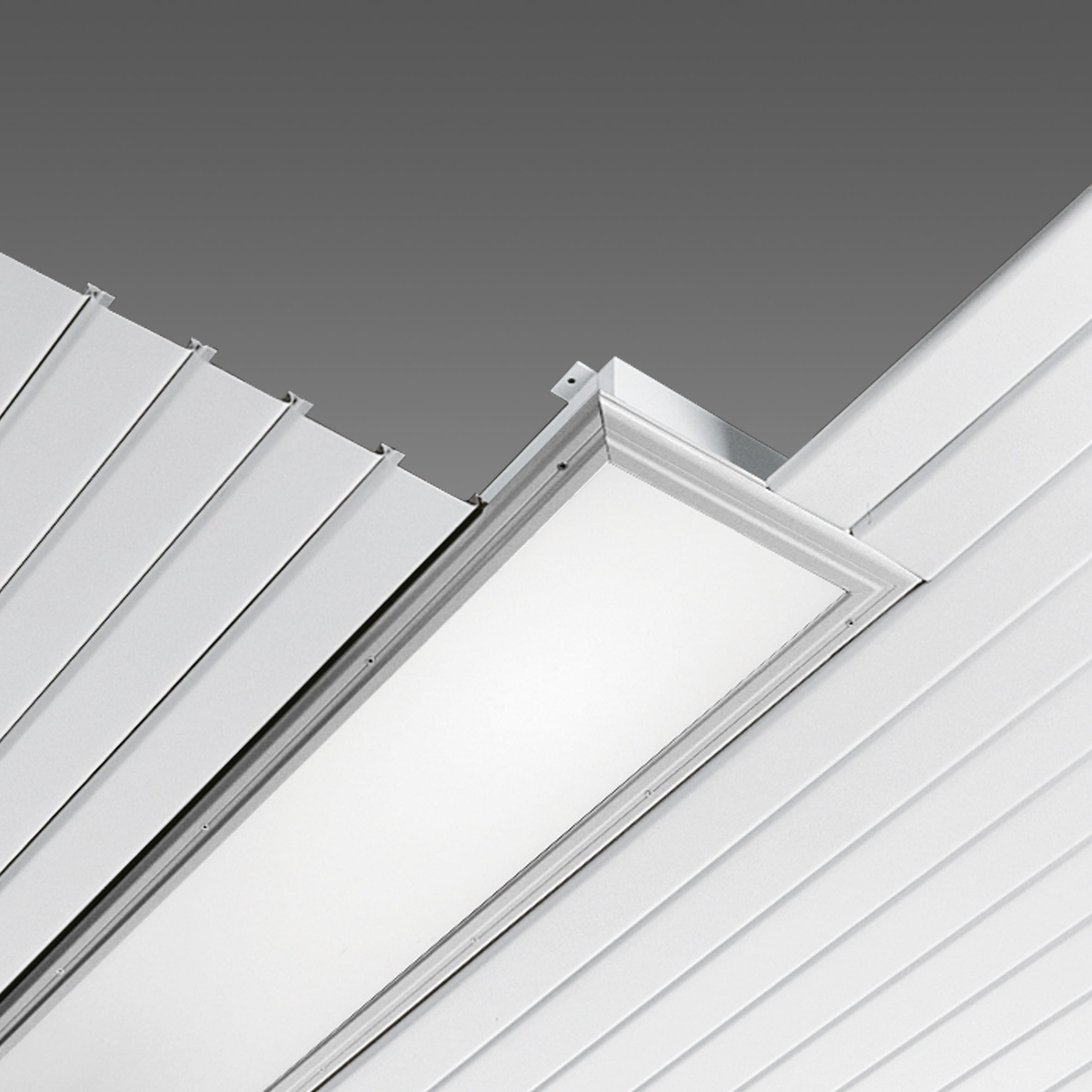 Disano - ERMETICA 846 Led dali 44W anodisé 4000K IP65 locaux aseptisés