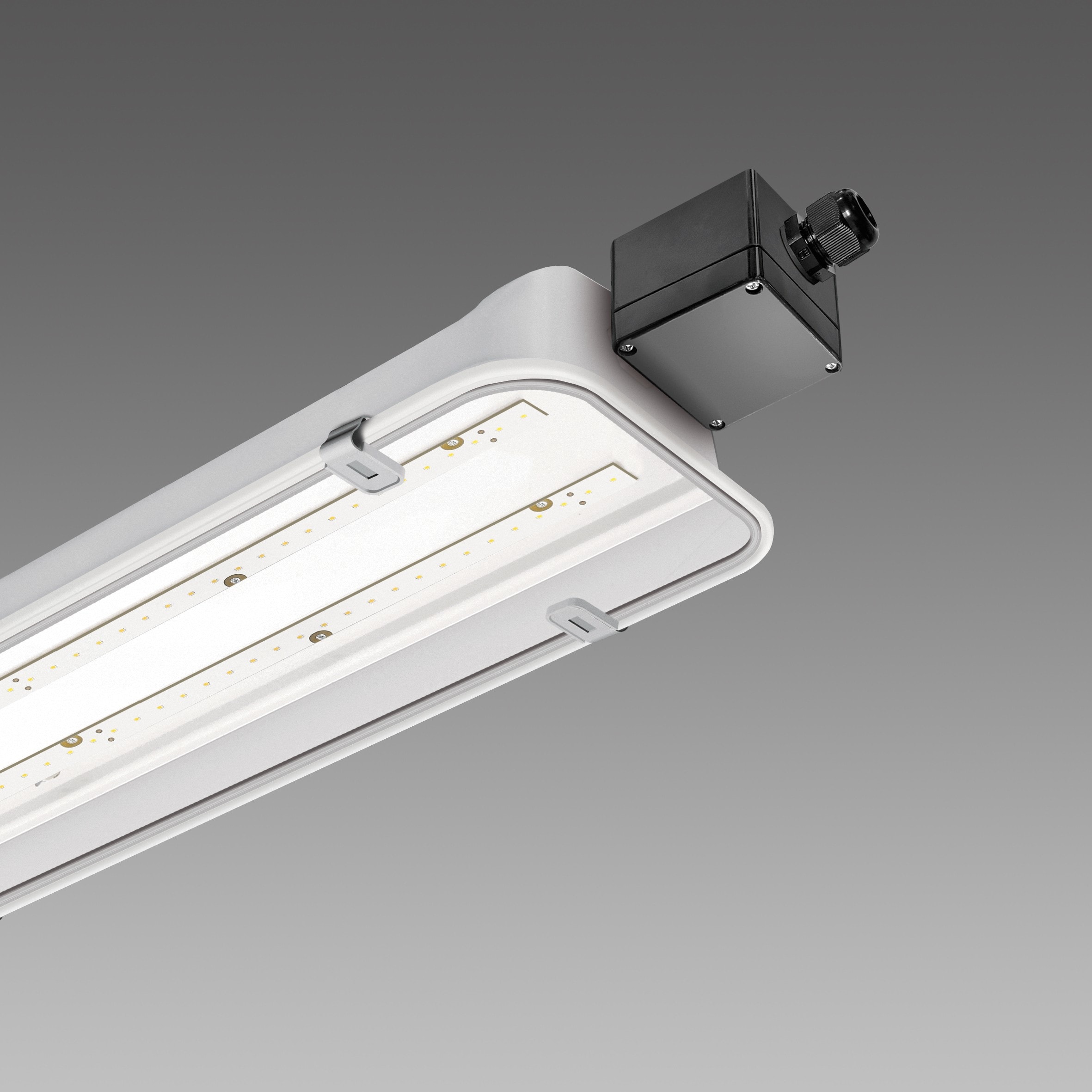 Disano - FORMA Atex 993 Led 65W gris Zone 22 IP66IK10