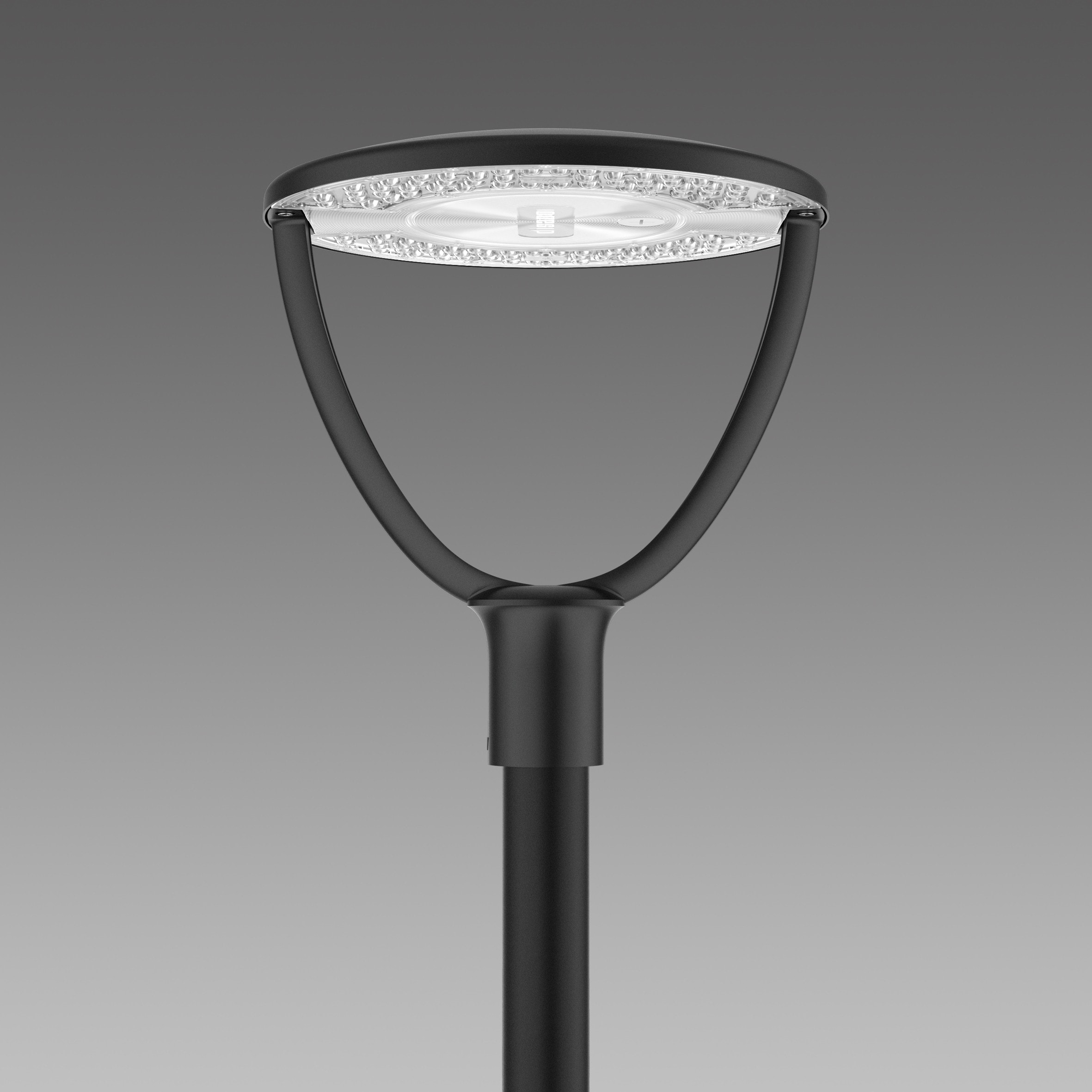 Disano - BRAIES 1589 Led 34W-59W Power Switch CCT 2200K-2700K rotosymétrique noir
