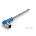 Te Entrelec - Cordons, Mâle, M12 Queue de cochon, Angle Droit, Gris