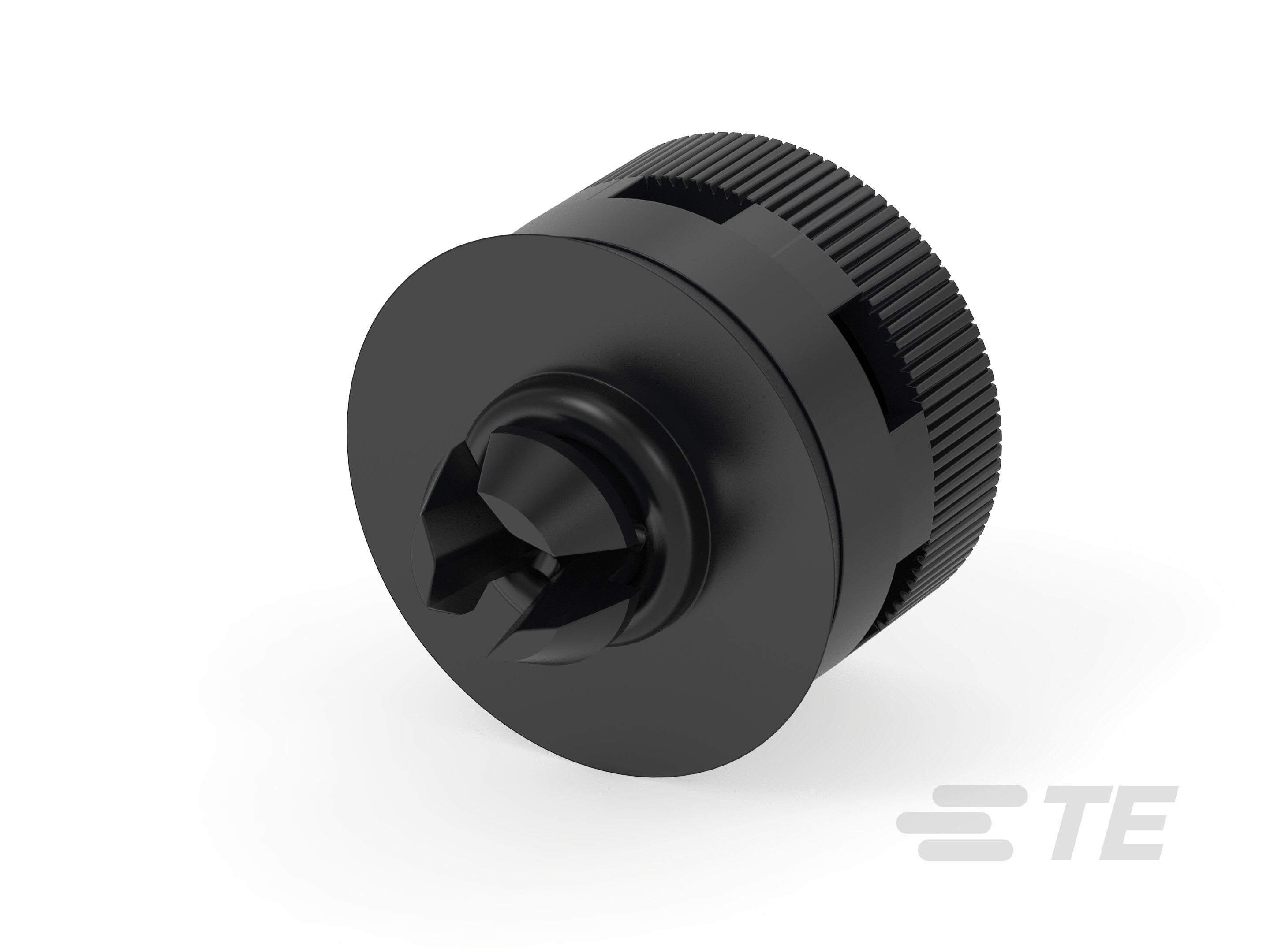 Te Entrelec - Accessoire pour PE : bouchons de ventilation, filetage métrique, polyamide, noir