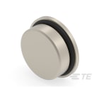 Te Entrelec - Accessoire pour PE : bouchon aveugle, filetage métrique, Laiton nickelé