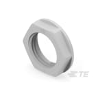 Te Entrelec - Accessoire pour PE : contre-écrou, filetage NPT, polyamide, gris c.