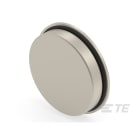 Te Entrelec - Accessoire pour PE : bouchon aveugle, filetage PG, Laiton nickelé