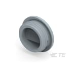 Te Entrelec - Accessoire pour PE : bouchon aveugle, filetage PG, polyamide, gris