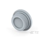 Te Entrelec - Accessoire pour PE : bouchon aveugle, filetage PG, polyamide, gris