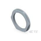 Te Entrelec - Accessoire pour PE : contre-écrou, filetage PG, polyamide, gris