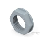 Te Entrelec - Accessoire pour PE : contre-écrou, filetage NPT, polyamide, gris