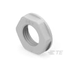 Te Entrelec - Accessoire pour PE : contre-écrou, filetage PG, polyamide, gris c.