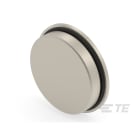 Te Entrelec - Accessoire pour PE : bouchon aveugle, filetage PG, Laiton nickelé