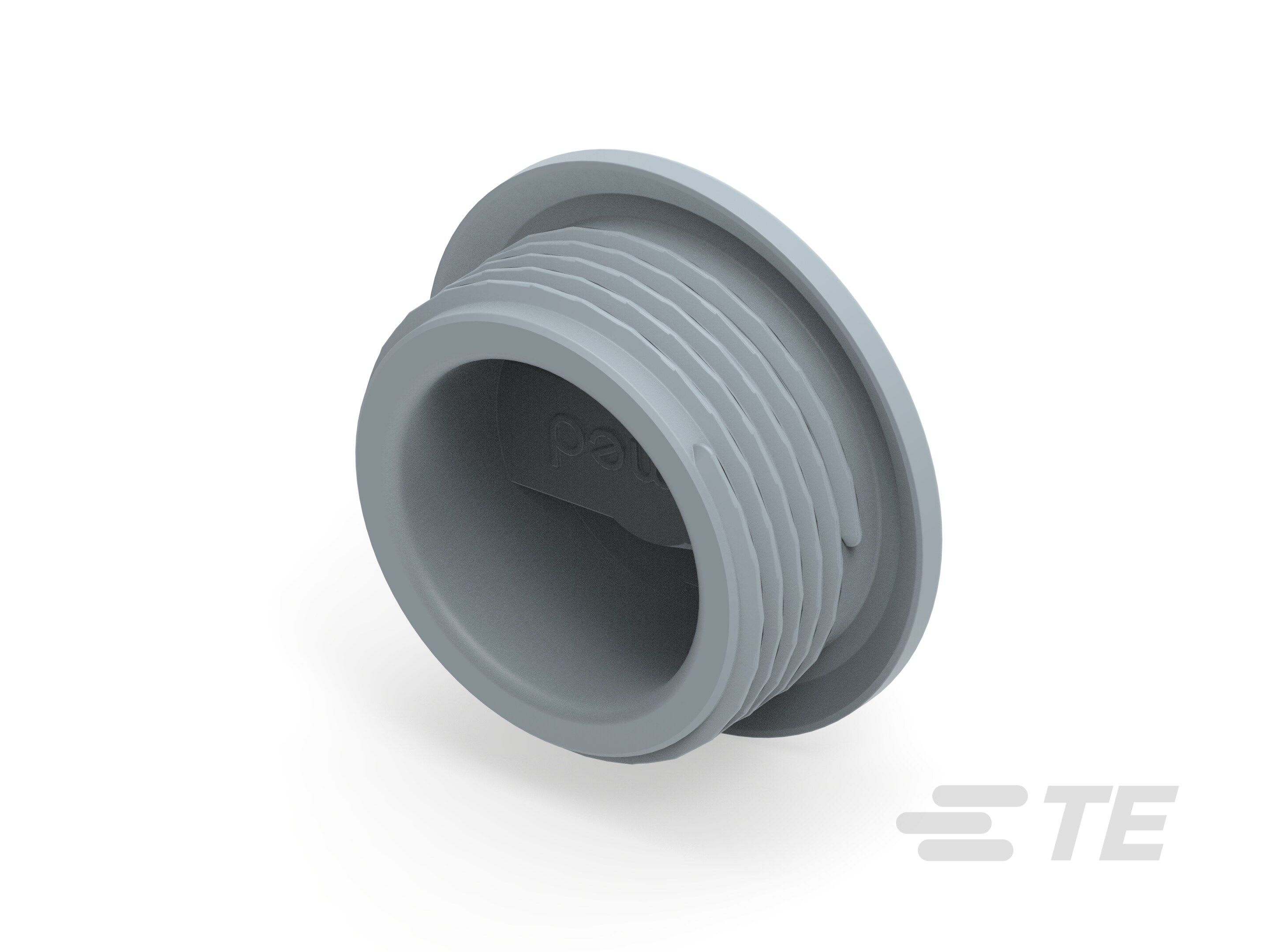 Te Entrelec - Accessoire pour PE : bouchon aveugle, filetage métrique, polyamide, gris