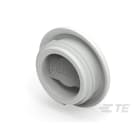 Te Entrelec - Accessoire pour PE : bouchon aveugle, filetage métrique, polyamide, gris c.