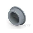 Te Entrelec - Accessoire pour PE : bouchon aveugle, filetage métrique, polyamide, gris