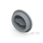 Te Entrelec - Accessoire pour PE : bouchon aveugle, filetage métrique, polyamide, gris