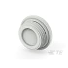 Te Entrelec - Accessoire pour PE : bouchon aveugle, filetage PG, polyamide, gris c.