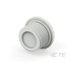 Te Entrelec - Accessoire pour PE : bouchon aveugle, filetage PG, polyamide, gris c.