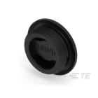 Te Entrelec - Accessoire pour PE : bouchon aveugle, filetage PG, polyamide, noir