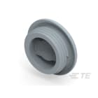 Te Entrelec - Accessoire pour PE : bouchon aveugle, filetage PG, polyamide, gris