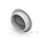 Te Entrelec - Accessoire pour PE : bouchon aveugle, filetage PG, polyamide, gris c.