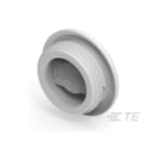 Te Entrelec - Accessoire pour PE : bouchon aveugle, filetage PG, polyamide, gris c.