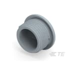 Te Entrelec - Accessoire pour PE : bouchon aveugle, filetage PG, polyamide, gris