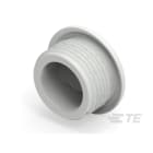 Te Entrelec - Accessoire pour PE : bouchon aveugle, filetage PG, polyamide, gris c.