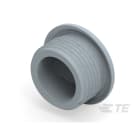 Te Entrelec - Accessoire pour PE : bouchon aveugle, filetage PG, polyamide, gris