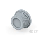 Te Entrelec - Accessoire pour PE : bouchon aveugle, filetage PG, polyamide, gris