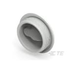 Te Entrelec - Accessoire pour PE : bouchon aveugle, filetage PG, polyamide, gris c.