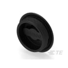 Te Entrelec - Accessoire pour PE : bouchon aveugle, filetage PG, polyamide, noir