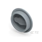 Te Entrelec - Accessoire pour PE : bouchon aveugle, filetage PG, polyamide, gris