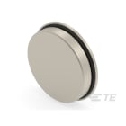 Te Entrelec - Accessoire pour PE : bouchon aveugle, filetage métrique, Laiton nickelé