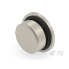 Te Entrelec - Accessoire pour PE : bouchon aveugle, filetage PG, Laiton nickelé