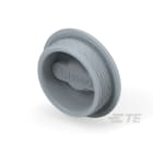 Te Entrelec - Accessoire pour PE : bouchon aveugle, filetage PG, polyamide, gris