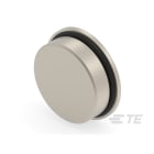 Te Entrelec - Accessoire pour PE : bouchon aveugle, filetage métrique, Laiton nickelé