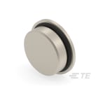 Te Entrelec - Accessoire pour PE : bouchon aveugle, filetage PG, Laiton nickelé