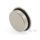 Te Entrelec - Accessoire pour PE : bouchon aveugle, filetage PG, Laiton nickelé