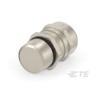 Te Entrelec - Presse-étoupe avec contre-écrou, filetage NPT, Laiton nickelé (Taille D)