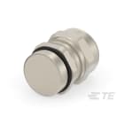 Te Entrelec - Presse-étoupe avec contre-écrou, filetage PG, Laiton nickelé (Taille A)