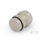 Te Entrelec - Presse-étoupe avec contre-écrou, filetage PG, Laiton nickelé (Taille C)