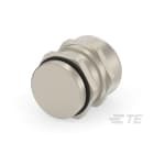 Te Entrelec - Presse-étoupe avec contre-écrou, filetage PG, Laiton nickelé (Taille A)