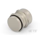 Te Entrelec - Presse-étoupe avec contre-écrou, filetage PG, Laiton nickelé (Taille C)